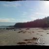 cape alava