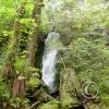merriman falls 1
