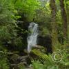merriman falls 2