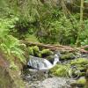 merriman falls 3