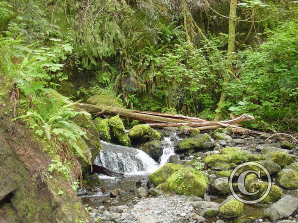 merriman falls 3