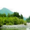 quinalt river 1