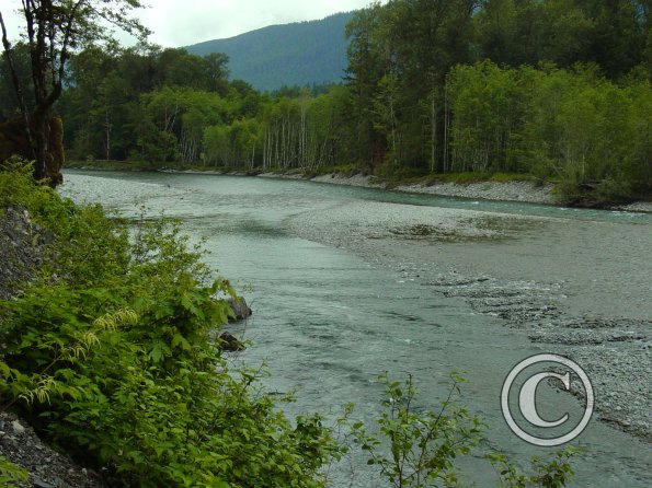 quinalt river 3