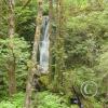 merriman-falls-4_18109867485_o