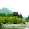 quinalt-river-1_17487290214_o
