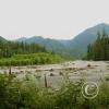 quinalt-river-5_18110925071_o