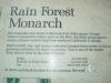 rain-forest-monarch-1_17922059788_o