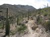 sweetwater_trail2