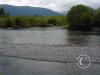 quinalt river 4