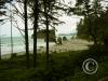 ruby-beach-looking-north-from-the-woods_18109368185_o